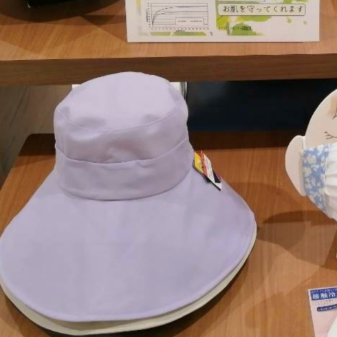 マイナス１０℃の帽子「守口京阪百貨店  イベント開催中。」