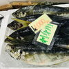 「魚魚市場鮮魚コーナーおすすめは「スルメイカ」です」