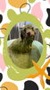 「Dog salon mofu mofu　余市町」