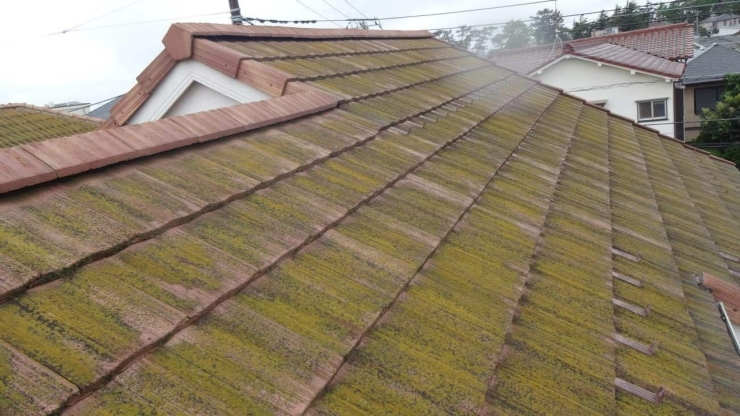 施工前のモニエル瓦（屋根）の全景写真です「船橋市O様邸の屋根外壁塗装工事が完了いたしました！～外壁塗装専門店のユウマペイント船橋店～」