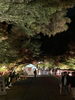 「京都紅葉紀行3日間　①日目」