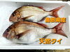 「○本日のお刺身○【ノルウェー産サーモン】【島根県産天然タイ】○本日のお惣菜○各種ございます！！」