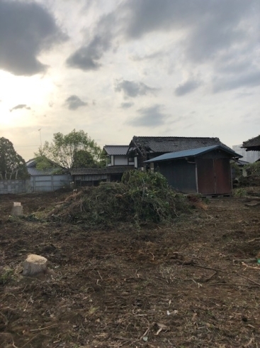 除草「絶品ネギトロと伐採風景!!城里町で伐採といえば!!」