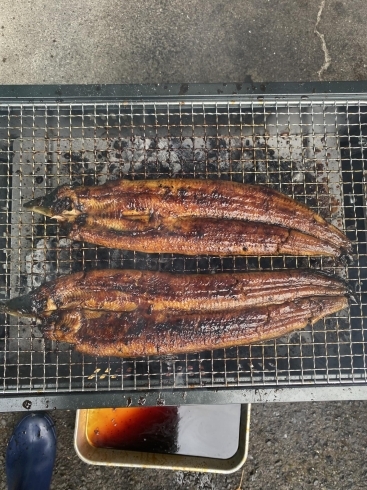 3回タレ付けて、焼き上がり！「霧島うなぎ！」