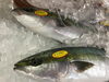 「魚魚市場鮮魚コーナーおすすめは「クエ」です♪」