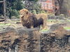 「動物園に行きました。」