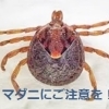 Vol.1『マダニにご注意を！』