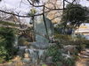 「西条市氷見『吉祥寺』の銀杏の葉の黄色い絨毯がキレイです。」