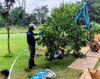 時にはこんな樹木の剪定や伐採なんかもやりますよ🌲「【長陽造園】さんで 造園スタッフ（正社員）募集❗神戸市西区神出町」