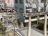 「まいぷれ北九州編集部　黒崎にある神社岡田神社に行ってきました」