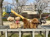 みんな「眩しい」の顔🤣「ましゅまろ幼稚園🐾　パート１」