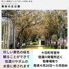 「キャンピングカーで春のドライブ」