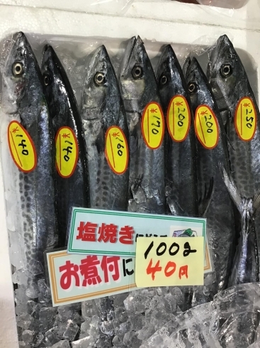「魚魚市場鮮魚コーナーおすすめは「生サンマ」です♪」