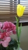 「☆３月店休日のお知らせ☆」