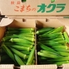 「秋田県産「ひばり野オクラ」」