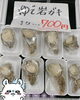 「(岩船産岩牡蠣入荷中でーす)」