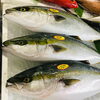 「魚魚市場鮮魚コーナーおすすめは「シャコ」です♪」