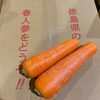 「今年も入荷が始まりました！ 徳島県産　「春にんじん」　です～🥕🥕🥕」