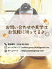 小樽　障害福祉事業所　らしくワーク「🧅 笑顔がつなぐ！玉ねぎ剥きから始まる「美味しさ」と「SDGs」への挑戦」
