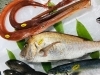 「西海物産館・魚魚市場鮮魚コーナーおすすめは「カツオ・エゾバフンウニ」です♪」