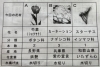 説明「【本社事務所からこんにちは】生花@竹田建設」