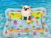 とろろ「波とわんこ🌊　スタッフ犬編」