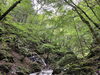 「自己紹介🌿西多摩（青梅・羽村・福生・あきる野・西多摩郡・八王子）でお庭造りは『庭や植太』へご相談ください」