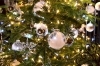 「上越にお住まいの方へ！クリスマス装飾のご提案です！」