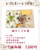 「【今週のお弁当のご紹介🌷】」