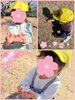花びらを拾ったよ！「今日もぽかぽかいい天気♡【交野市・小規模保育園】」