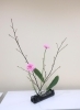 生徒様の作品です「【銀座　いけばな教室】春の花をいけました🌸」