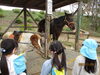 お馬さん，大きいねぇ！「成田ゆめ牧場に遠足♬」