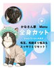 「岡山猫専門サロン　シャンプーコースでお悩み解決！？」