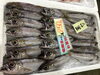 「魚魚市場鮮魚コーナーおすすめは「ヨコスジフエダイ」です♪」