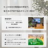 「【家づくり勉強会】家づくりを検討中のご家族様必見！！（2025年11月イベント）」