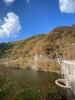 大佐ダム付近から望む「連日、紅葉を見ています！」