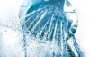 冷水シャワーでも十分に効果があるそうです。「「アイスバス（冷水浴）」をご存じですか？　　　今日は「アイスバス（冷水浴）」のメリットをお話致します。　」