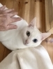 ひたすらスリスリ王子の まりお君!ドラマ?何それ?「みんな今日も可愛いー!」