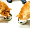 うめ＆まるちゃん「今日のお友達」