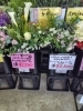 「【泉佐野市、貝塚市、熊取町、日根野】でお住まいの方でナチュラル系の花束を贈りたい方にオススメの花屋りっちゅ情報」