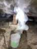 専門薬剤で衛生的な空間へ「新聞広告をご覧になった方へ　シロアリ・害虫・害獣対策はおまかせください」