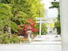 境内の景色も秋色に変わってきました。「今年の花手水が終わりました。」