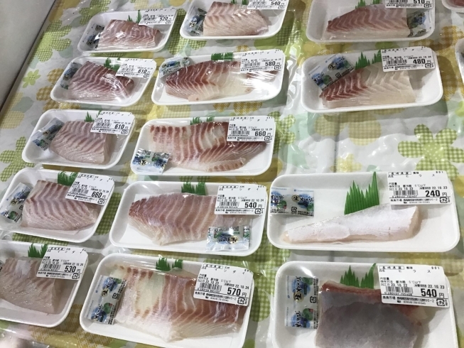「魚魚市場鮮魚コーナーおすすめは「サバ・鯛」です♪」