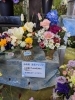 あかがねポイント30 大還元祭ショップ お得商品紹介1 お花屋さん編 新居浜あかがねポイント まいぷれ 新居浜市 あかがねポイント30 大還元祭ショップ お得商品紹介1 お花屋さん編 新居浜あかがねポイント まいぷれ 新居浜市