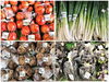 「新鮮な夏野菜などをお値うち価格で販売していま～す」