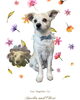「Dog salon mofu mofu　余市町」