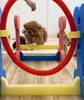 くまくん元気にジャンプ💨「ましゅまろ幼稚園🐾」