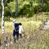 「入笠山に漂う、この時期だけの優しさと風情」