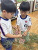 お友だちと力を合わせて🎋✨「🎋７月７日　七夕🎋」