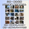 庭木の伐採・抜根